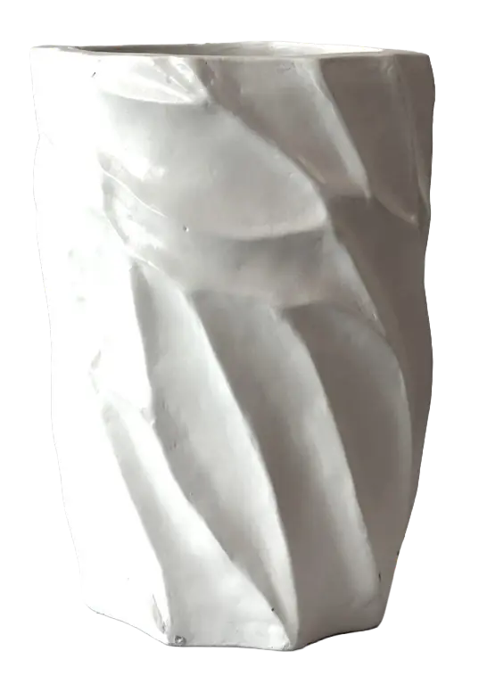 Helecho espada 70cm
